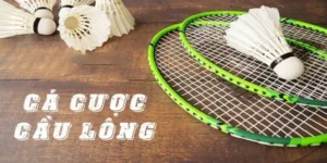 Bí Quyết Cá Cược Cầu Lông Tại MB66: Hướng Dẫn Chi Tiết Từ A-Z