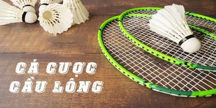 Bí Quyết Cá Cược Cầu Lông Tại MB66: Hướng Dẫn Chi Tiết Từ A-Z